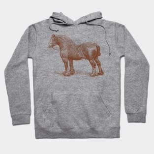 English Shire Horse Vintage Illustration Hoodie